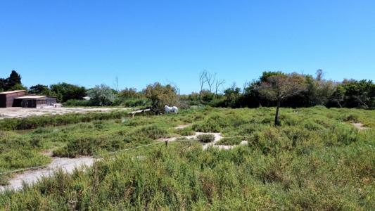 Annonce Vente 7 pices Maison Saintes-maries-de-la-mer 13
