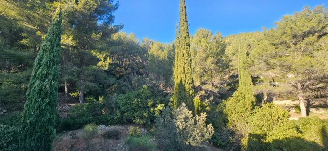 Acheter Maison 162 m2 Revest-les-eaux