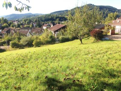 For sale Thillot 6 rooms 147 m2 Vosges (88160) photo 2