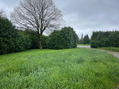 For sale Loriol-sur-drome 470 m2 Drome (26270) photo 0