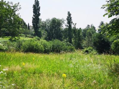 For sale Chonas-l'amballan 825 m2 Isere (38121) photo 0