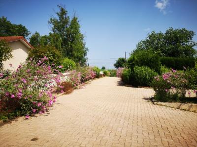 For sale Chonas-l'amballan 825 m2 Isere (38121) photo 1