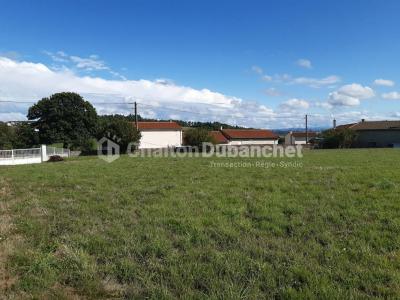 Annonce Vente Terrain Montchal 42