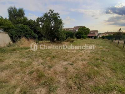 Annonce Vente Terrain Balbigny 42