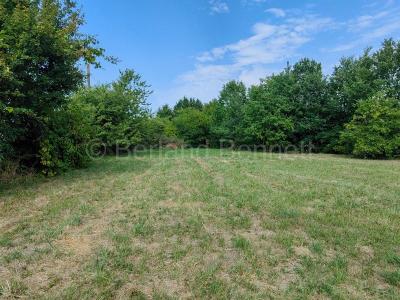 For sale Sauze-vaussais Deux sevres (79190) photo 1