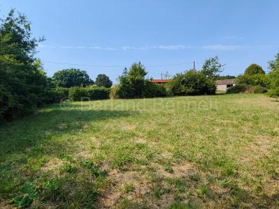 For sale Sauze-vaussais Deux sevres (79190) photo 2