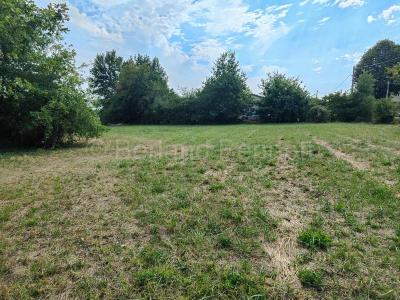For sale Sauze-vaussais Deux sevres (79190) photo 3