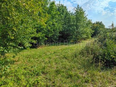 For sale Sauze-vaussais Deux sevres (79190) photo 4