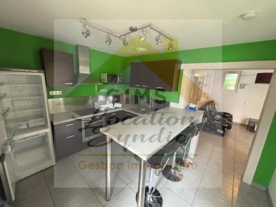 Annonce Location 2 pices Maison Roche-sur-foron 74
