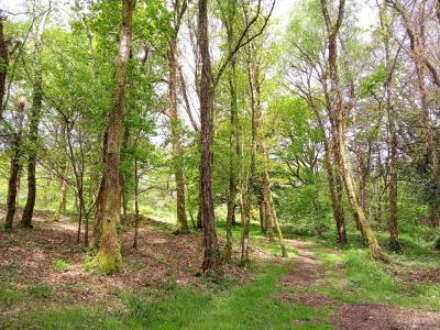 For sale Landevant 5 rooms 110 m2 Morbihan (56690) photo 1