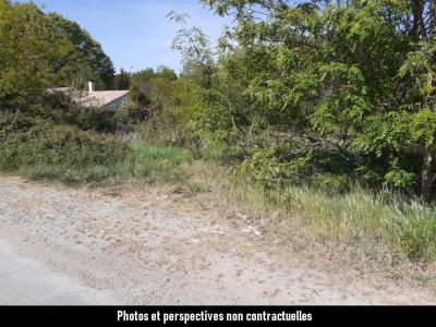 Annonce Vente Maison Roche-sur-yon 85
