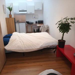 For rent Rennes 1 room 24 m2 Ille et vilaine (35000) photo 2