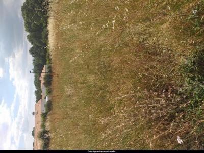 Annonce Vente Maison Avrille 85