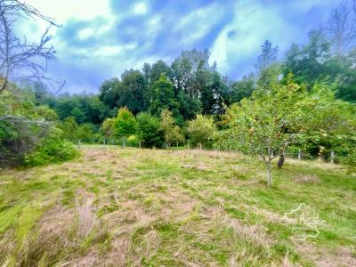 For sale Toucy 6 rooms 135 m2 Yonne (89130) photo 1
