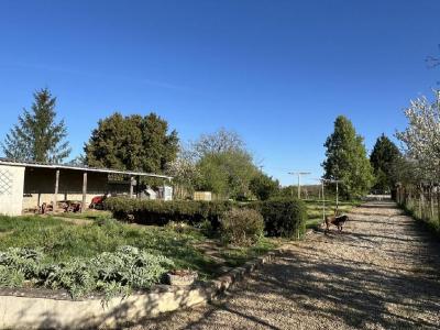 For sale 6 rooms 135 m2 Vienne (86400) photo 4