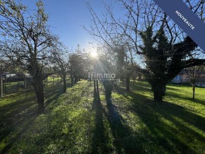 Annonce Vente Terrain Daubensand 67