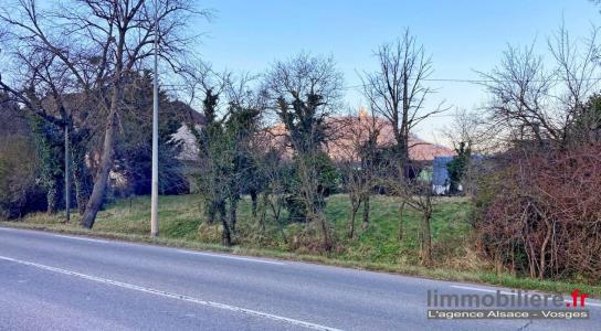 Annonce Vente Terrain Chatenois 67