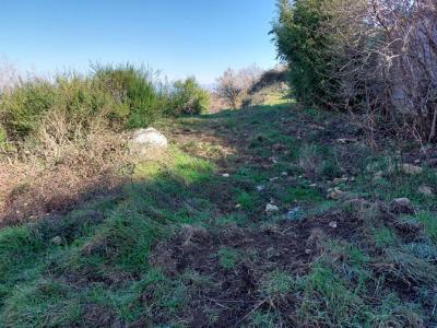 For sale Ville-di-paraso 3646 m2 Corse (20279) photo 2