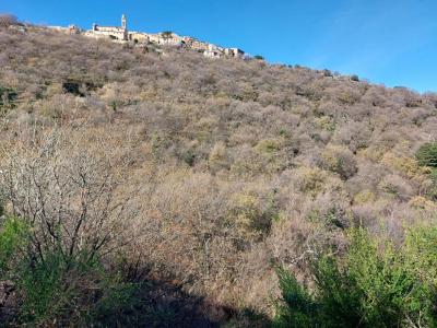 For sale Ville-di-paraso 3646 m2 Corse (20279) photo 3