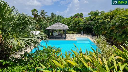 Annonce Vente 5 pices Maison Sainte-rose 971