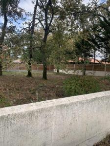 Acheter Maison Gujan-mestras 480000 euros