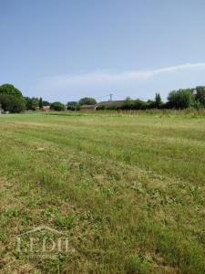 For sale Tostat 1 room 1323 m2 Hautes pyrenees (65140) photo 0