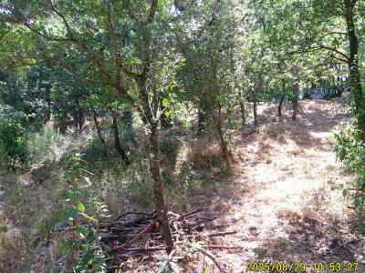 Acheter Terrain 1200 m2 Mayons