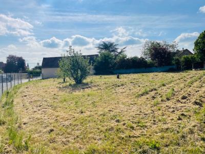 Acheter Terrain 743 m2 Saint-aubin-des-bois