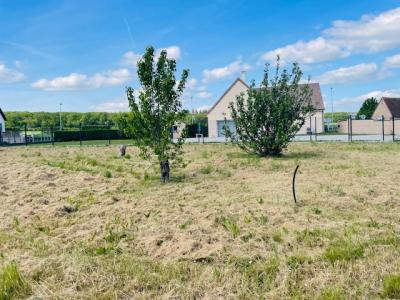 Acheter Terrain Saint-aubin-des-bois Eure et loir