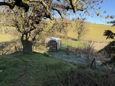 Annonce Vente 4 pices Maison Salles-sur-l'hers 11