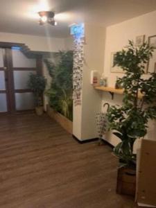 Acheter Commerce Haguenau 231000 euros