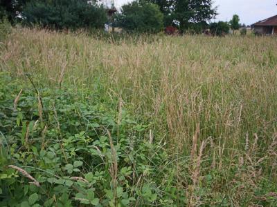 Annonce Vente Terrain Ardiege 31