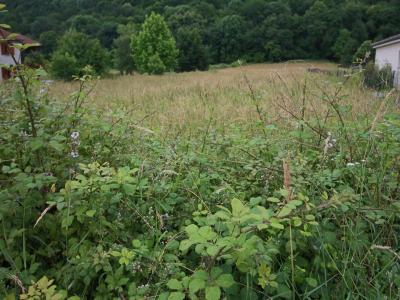 Acheter Terrain 1531 m2 Ardiege