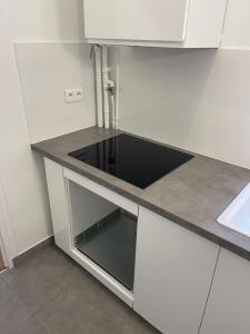 Louer Appartement Paris-15eme-arrondissement 1550 euros