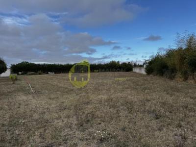 Acheter Terrain Saint-caprais 33300 euros