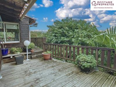 Annonce Vente 5 pices Maison Mireval-lauragais 11