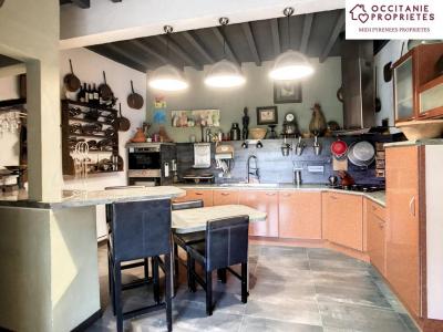 Acheter Maison Mireval-lauragais 275000 euros