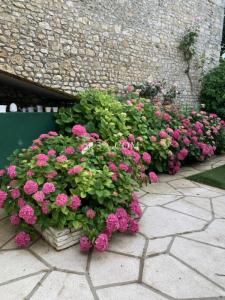 Annonce Vente Prestige Chauvigny 86