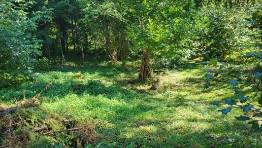 Annonce Vente Terrain Queige 73