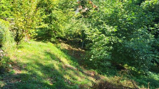 Acheter Terrain Queige