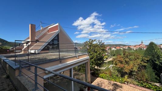 For sale Wintzenheim 10 rooms 299 m2 Haut rhin (68920) photo 2