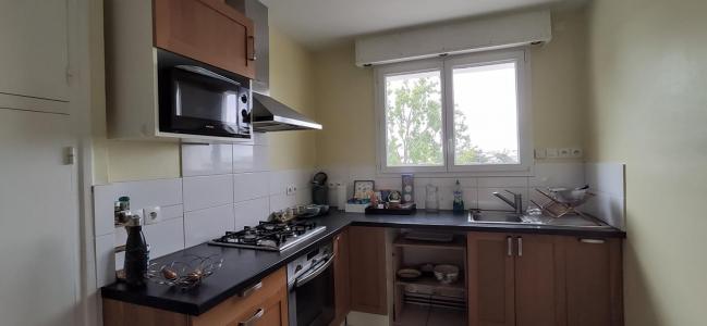 Louer Appartement 71 m2 Lorient