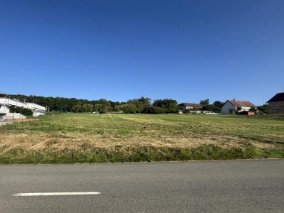 Annonce Vente Maison Montbouton 90