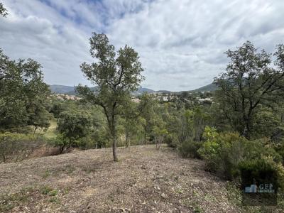 Annonce Vente Terrain Londe-les-maures 83