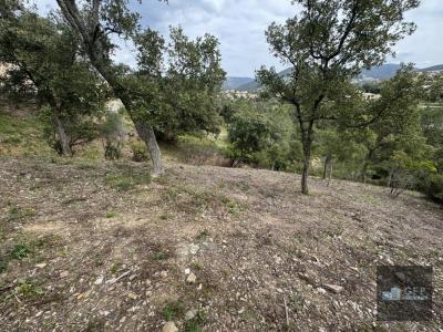 Acheter Terrain 2070 m2 Londe-les-maures