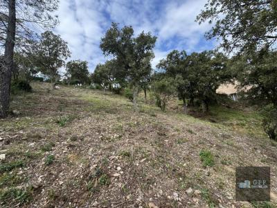 Acheter Terrain Londe-les-maures Var