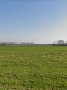Acheter Terrain 335 m2 Angliers