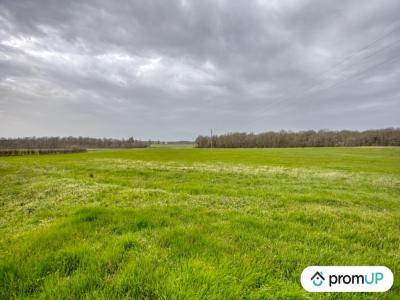 For sale Velles 32767 m2 Indre (36330) photo 3