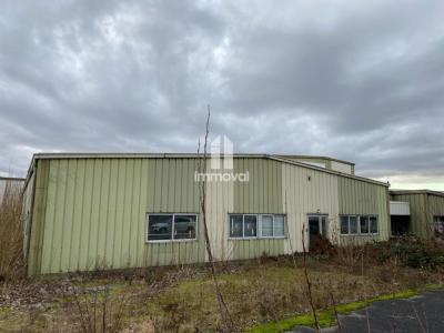 For rent Reichstett 1577 m2 Bas rhin (67116) photo 4