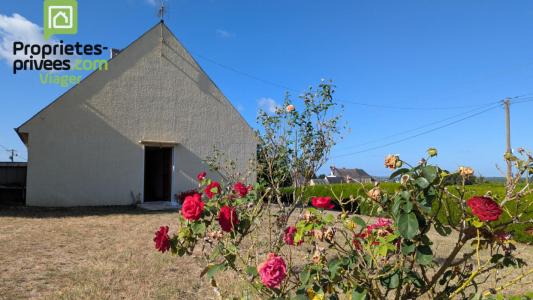 Annonce Viager 4 pices Maison Saint-nicolas-de-bourgueil 37